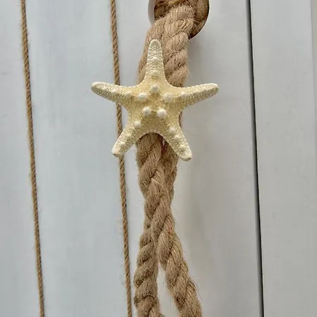 Amare Il Mare E コルニリア