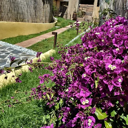 Amare Il Mare E * コルニリア